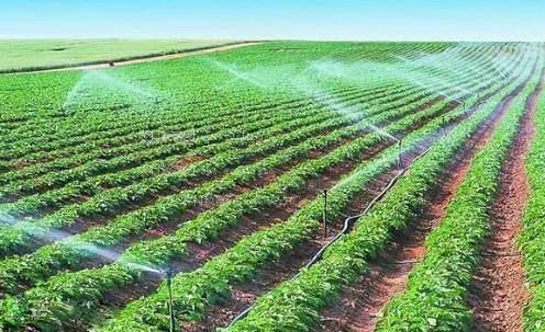 艹少妇嫩比农田高 效节水灌溉